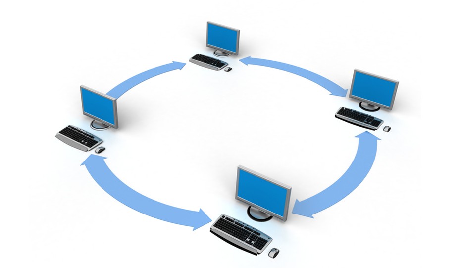 门户网站开发的关键注意事项 确保专业性与软件设计的融合