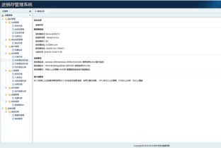 案例展示 | 瑞禧进销存品牌电商门户，西安硅峰网络以精准数字化方案定义企业天花板