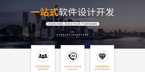 龙岩建立网站的成本分析 软件设计与开发费用详解